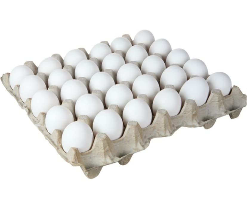 Cartón de huevo 